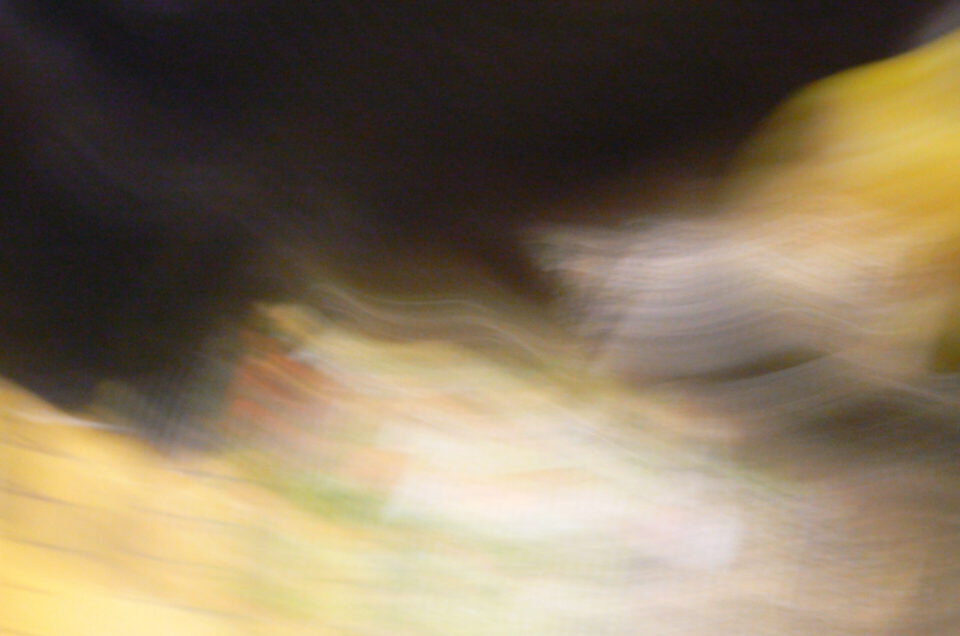 baboon blur